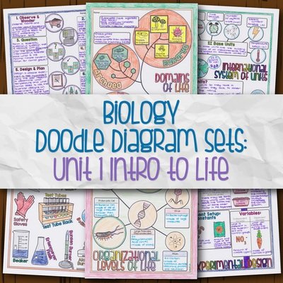 Biology Unit 1 Doodle Diagram Sets