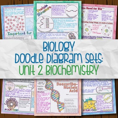 Biology Unit 2 Doodle Diagram Sets: Biochemistry