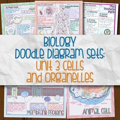 Biology Unit 3 Doodle Diagrams Cells and Organelles