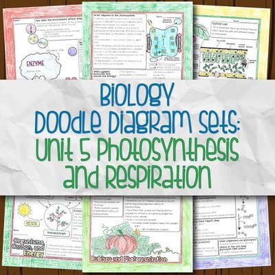 Biology Unit 5 Doodle Diagram Notes Photosynthesis and Respiration