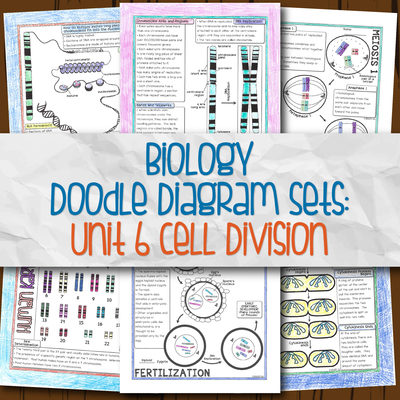 Biology Unit 6 Doodle Diagram Notes Cell Division