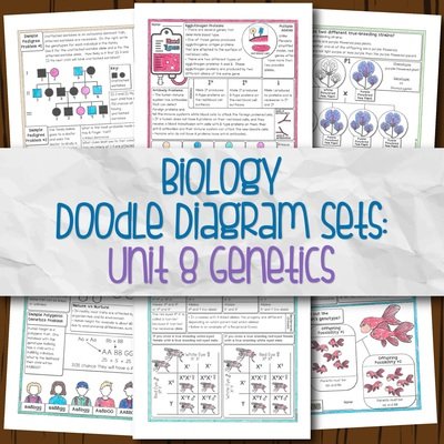 Biology Unit 8 Doodle Diagram Notes for Genetics