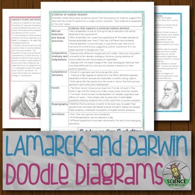 Lamarck and Darwin Doodle Diagrams