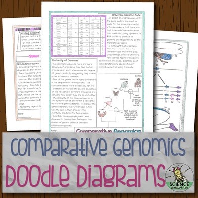 Comparative Genomics Doodle Diagrams