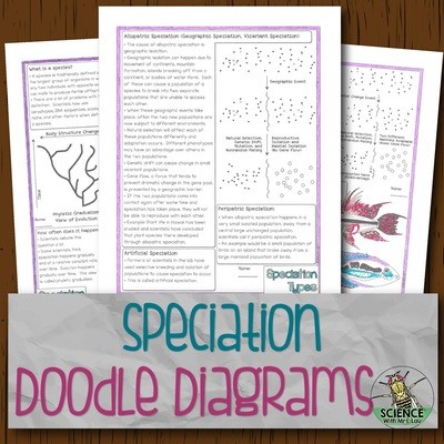 Speciation Doodle Diagrams