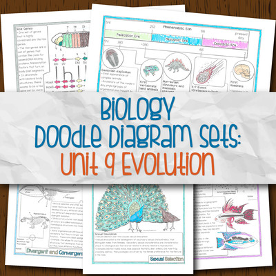 Biology Unit 9 Doodle Diagram Sets for Evolution
