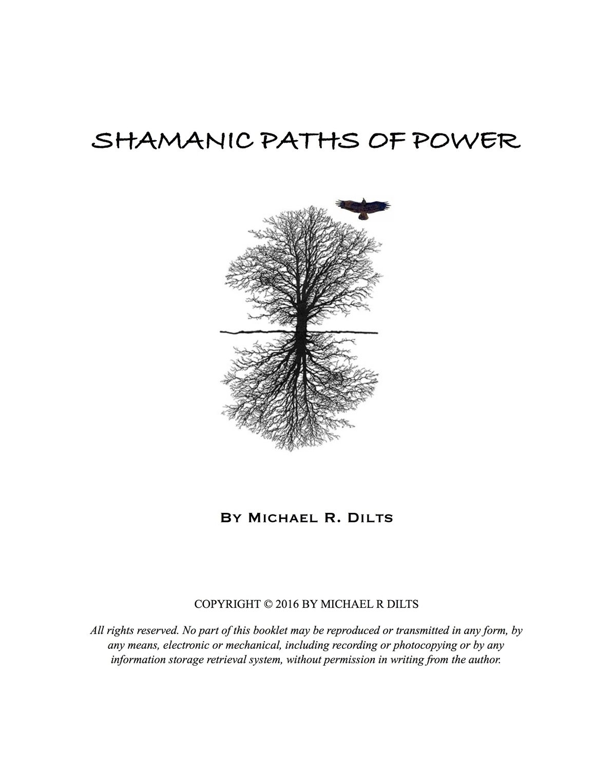 Shamanic Paths of Power by Michael R. Dilts [Booklet]