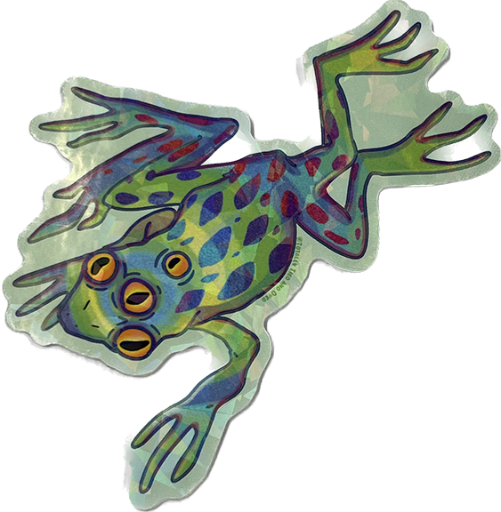 Frog sticker