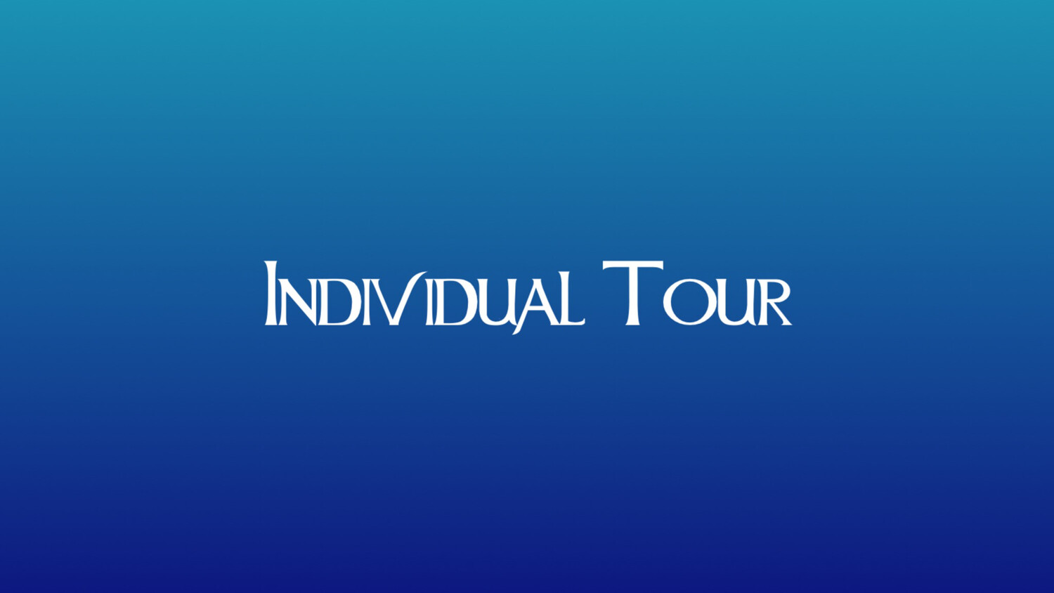 Individual Tour
