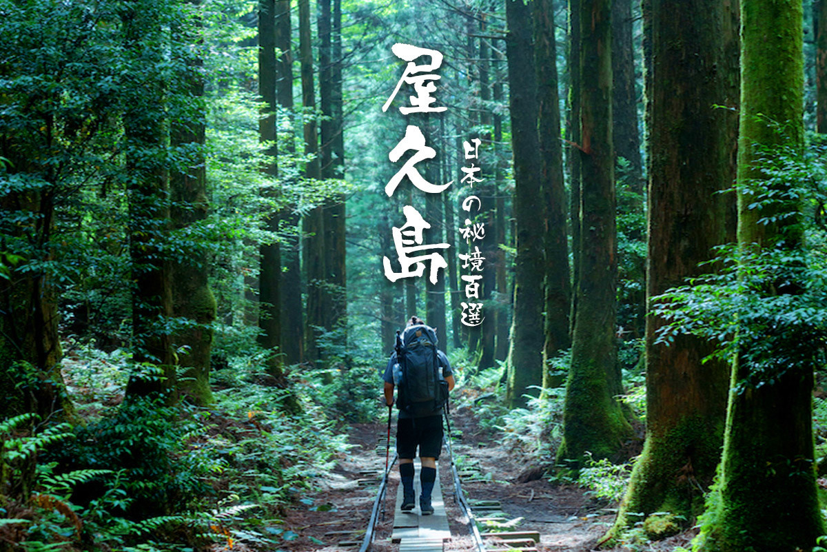 日本 精靈的呼喚神秘之森屋久島探秘登山 7天6夜