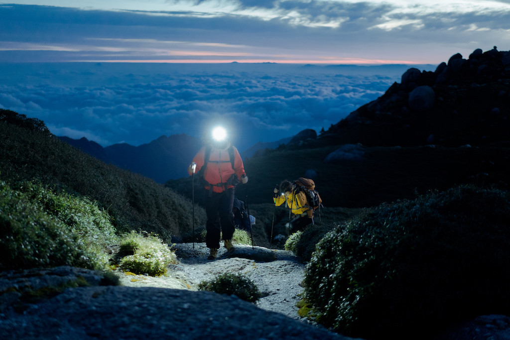 日本 精靈的呼喚神秘之森屋久島探秘登山 7天6夜