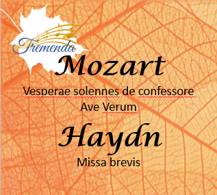 Concert Mozart & Haydn - Voorverkoop prijs