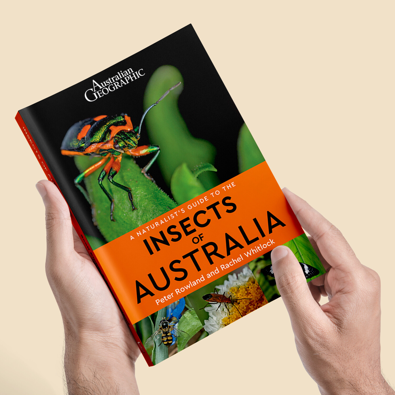 A Naturalist's Guide to the Insects of Australia A Naturalist's Guide to the Insects of Australia