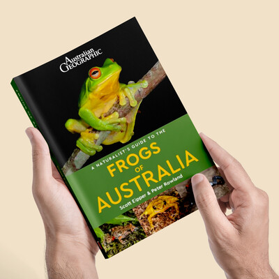 A Naturalist's Guide to the Frogs of Australia [1st Ed.]