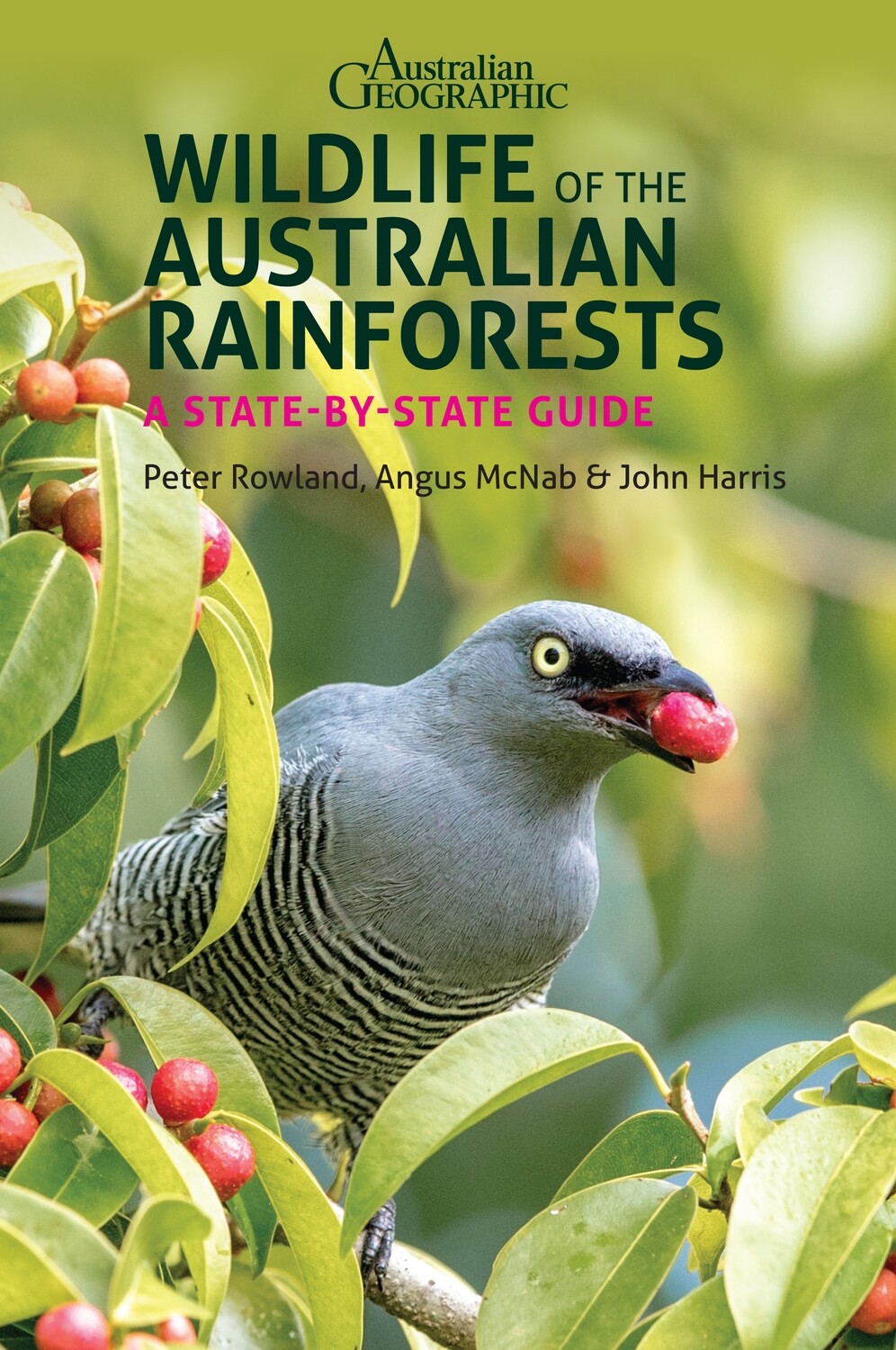 Wildlife of the Australian Rainforests Wildlife of the Australian Rainforests