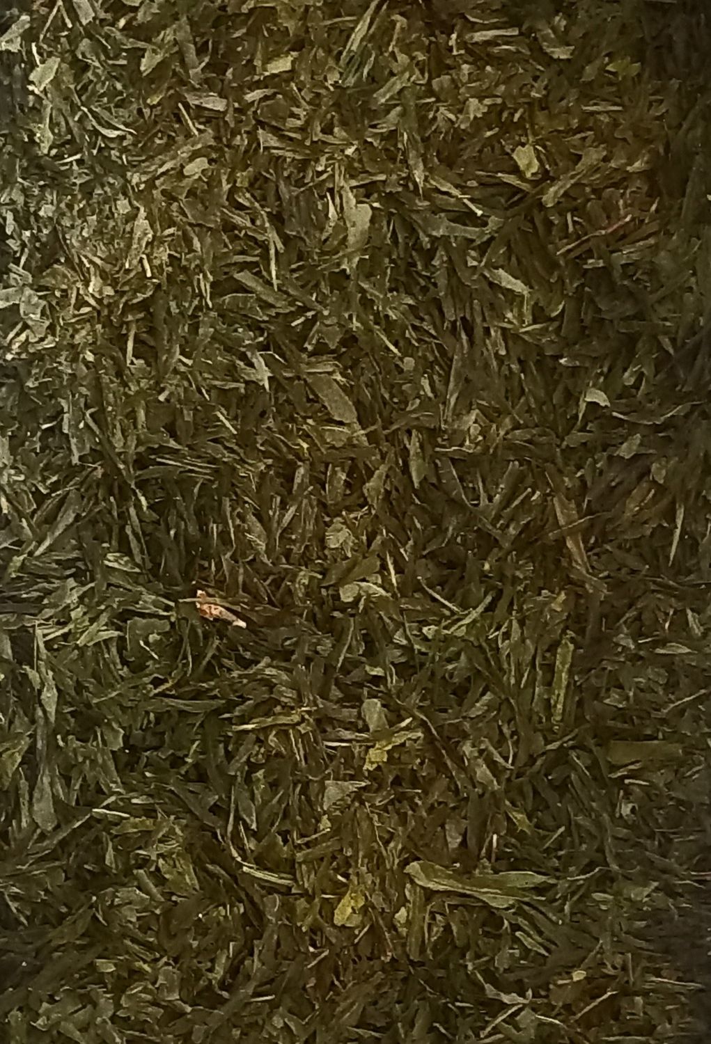 Green Sencha Tea