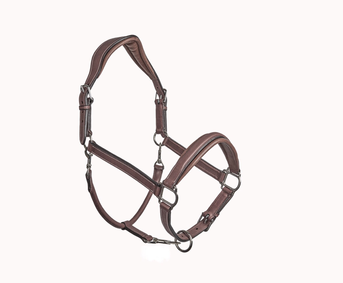 Stable halter