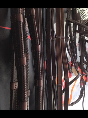 Reins 