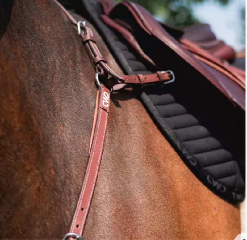Adjustable Bridge Breastplate