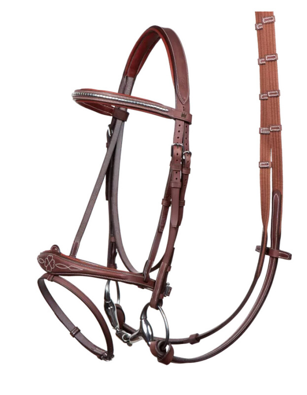 Harrie Smolders bridle + reins.