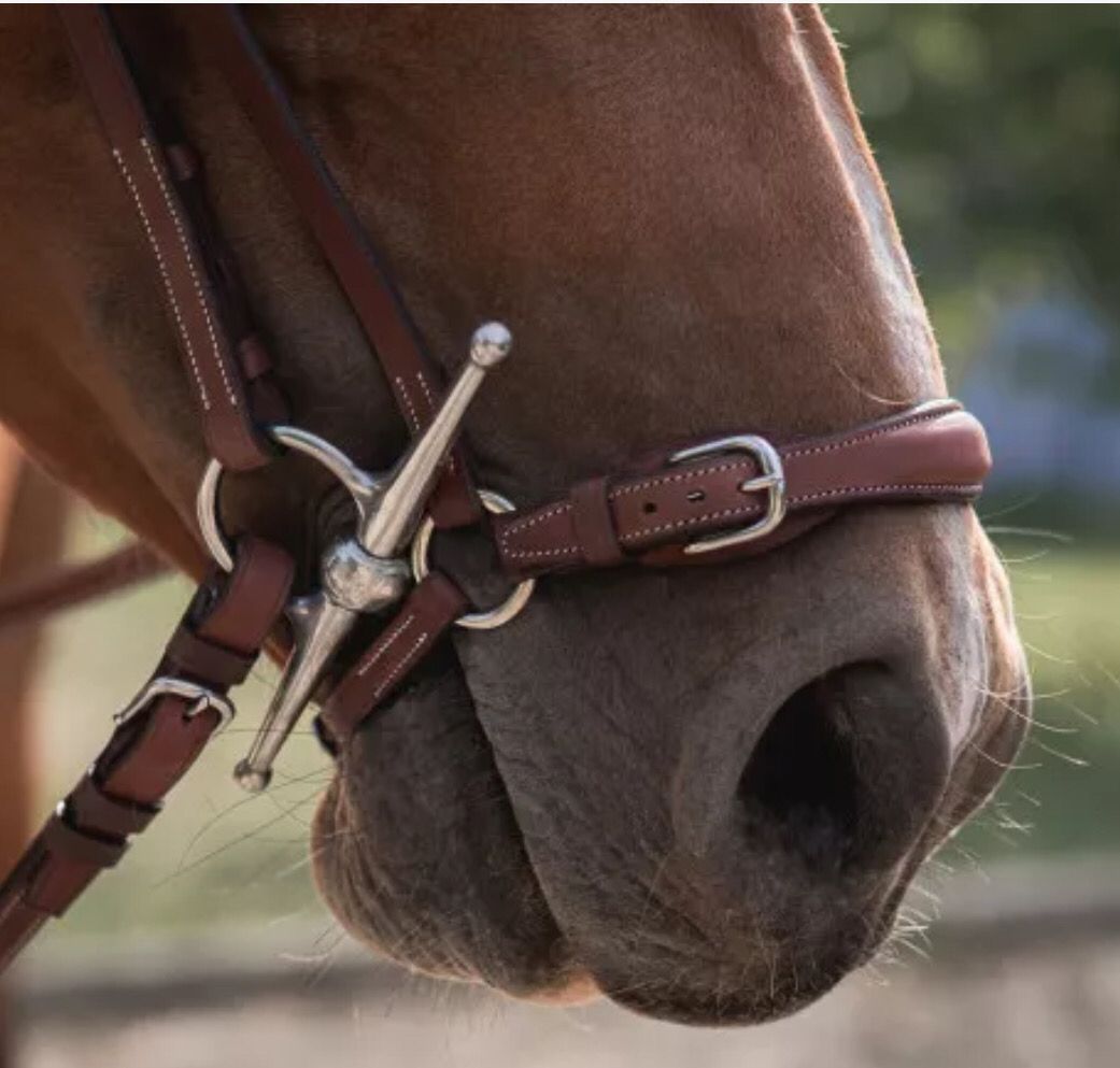 Drop noseband