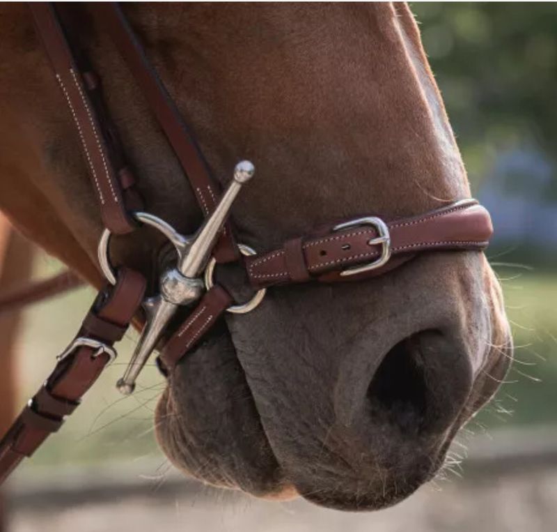 Drop noseband