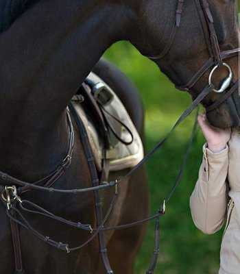 Breastplates