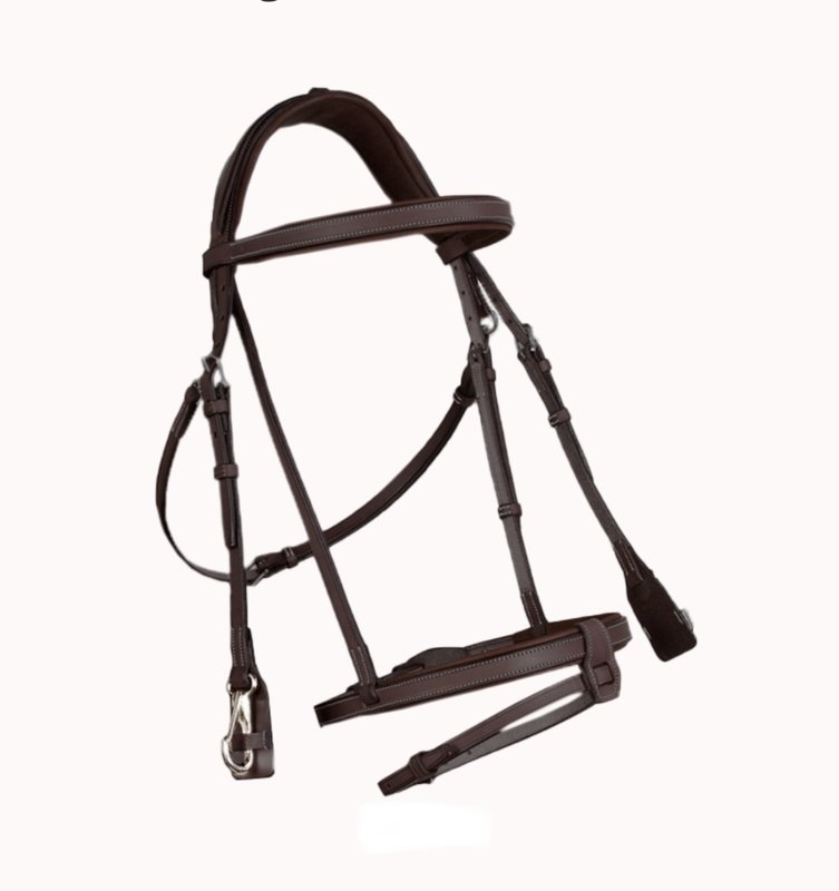 French Noseband Training Bridle