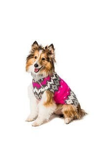 Hot Pink Ski Sweater