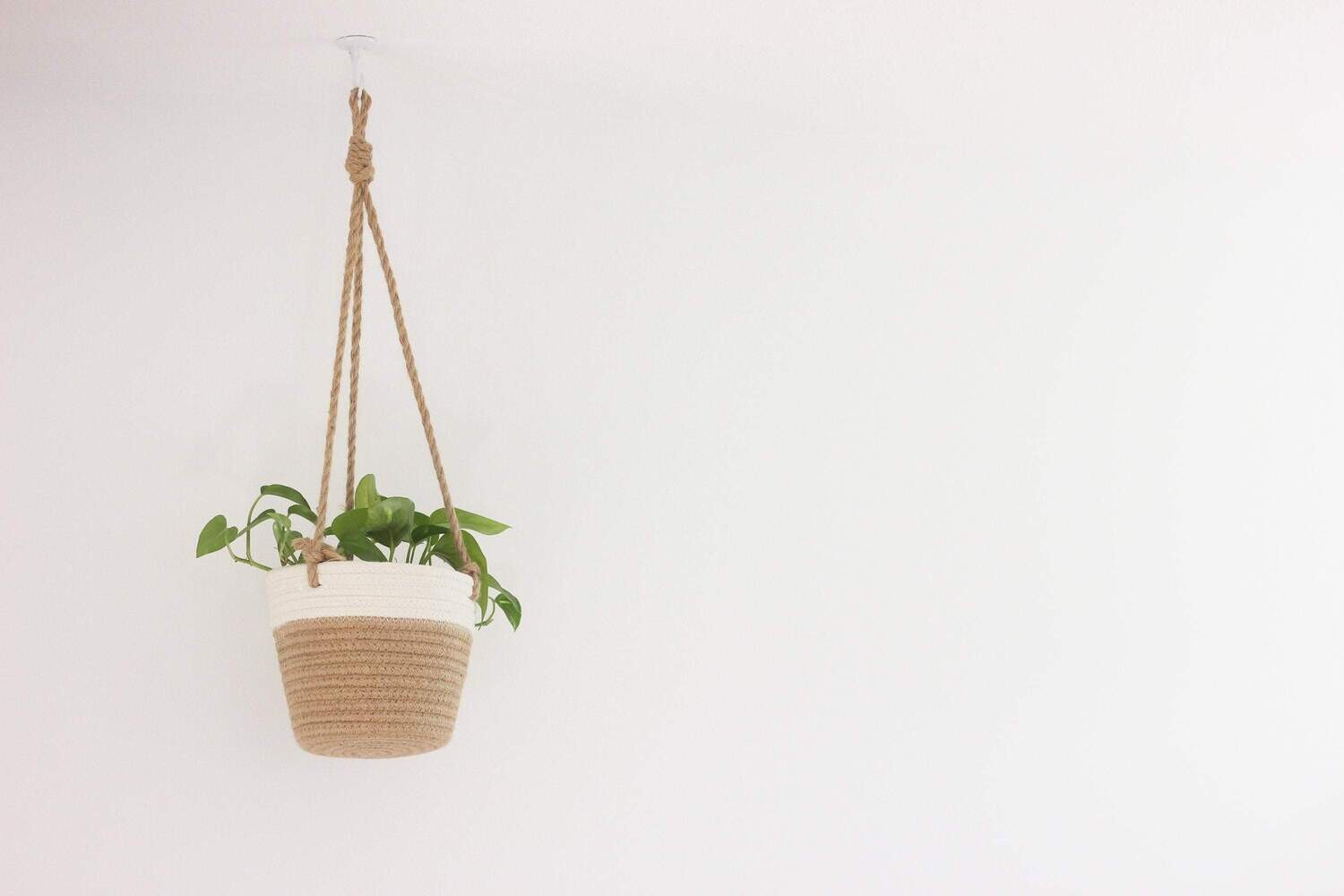 Beige and White Cotton Rope Hanging Planter Basket 7"