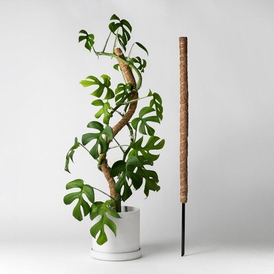 24" Bendable & Stackable Coco Coir Pole for Plant Support
