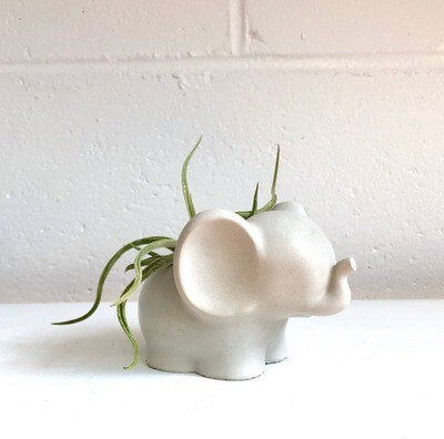 Elephant Concrete Planter