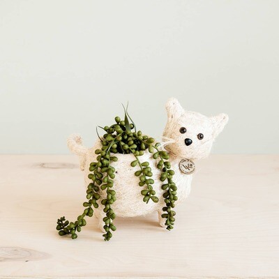 Animal Planter - Baby Cat