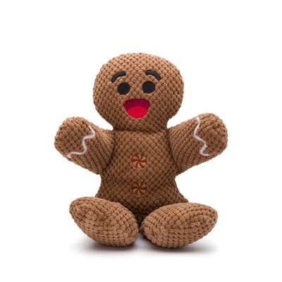 Christmas Gingerbread Floppy
