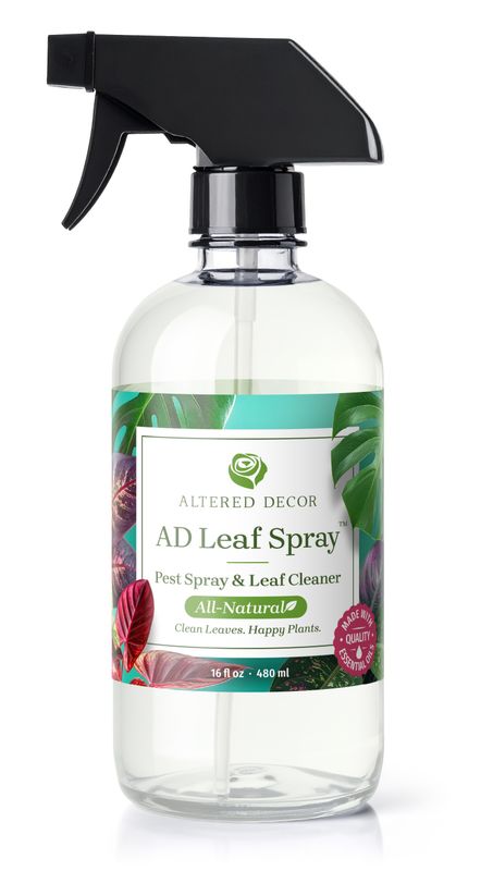 AD Leaf Spray™ Natural Leaf Cleaner & Pest Spray made with Essential Oils AD Leaf Spray™ Natural Leaf Cleaner & Pest Spray made with Essential Oils