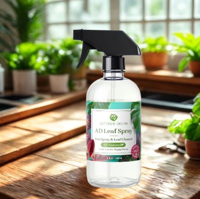 House Plant Products