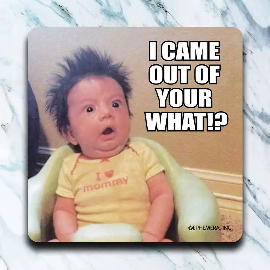 I Came Out of What? Coaster