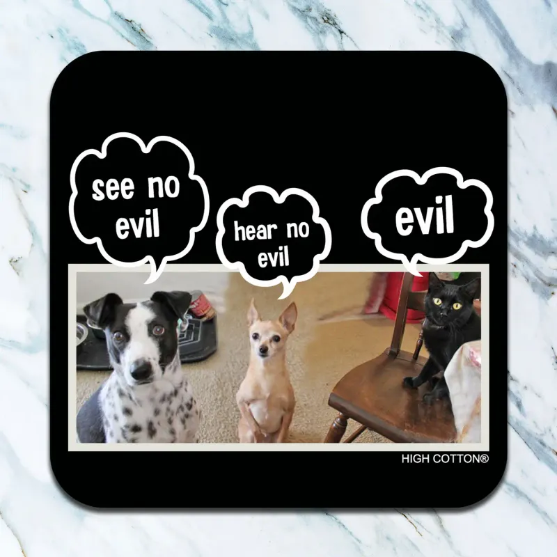See No Evil, Hear No Evil Coaster