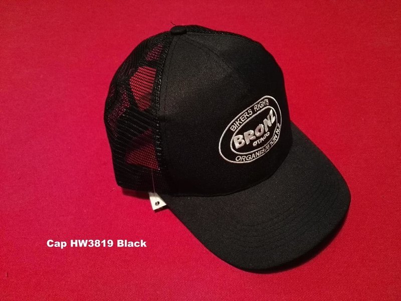 Cap or Beanie