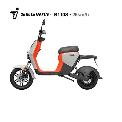 Segway B110S E-Roller 25km/h