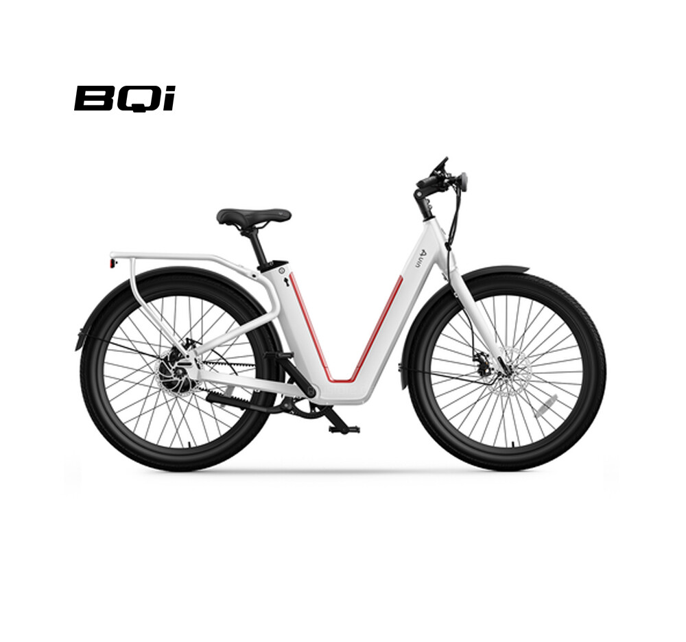 Vorbestellung NIU BQi E-Bike