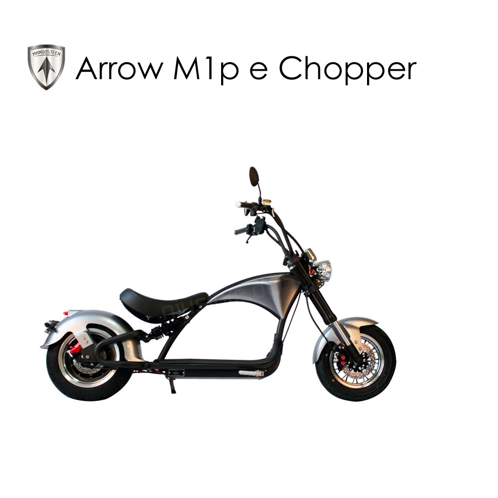 Mangosteen Arrow M1p | E-Chopper | 45km/h, Farbe: silber