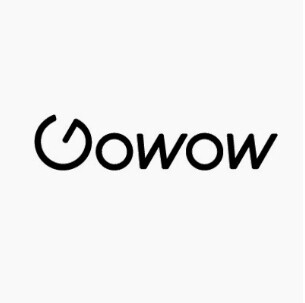 GOWOW - bis 100km/h