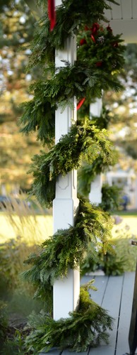 Cedar and Pine Garland (10 ft. lenght)