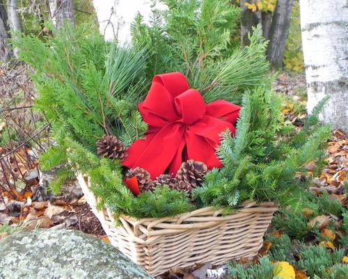 Boxed Christmas Evergeens