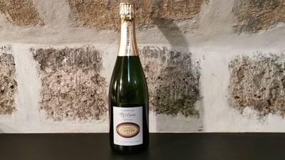 Champagne Marie-Anne Cantin