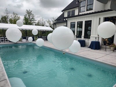 Pool Decor