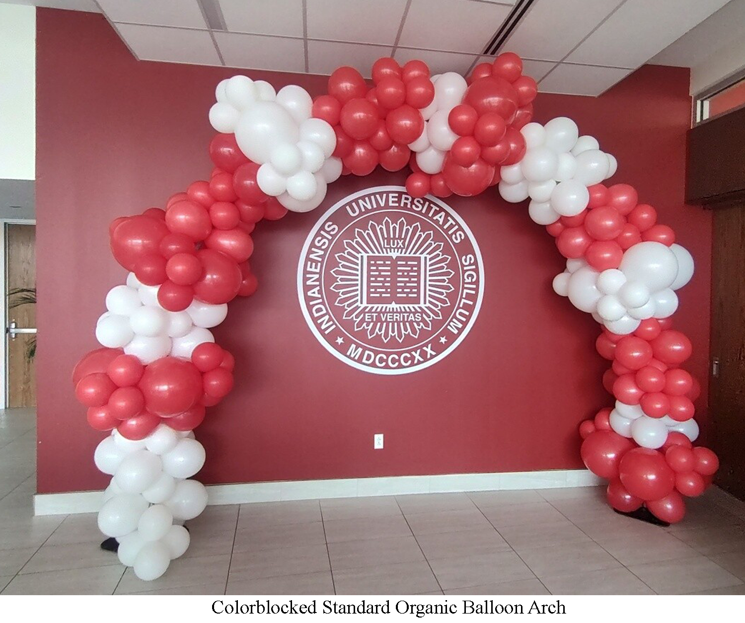 Organic Balloon Arch