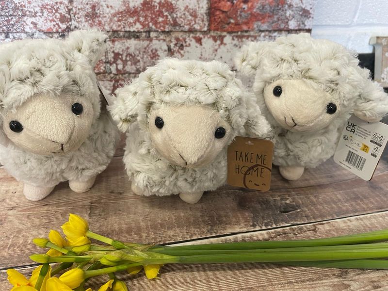 Cuddly Toy Mouse Or Fluffy Sheep