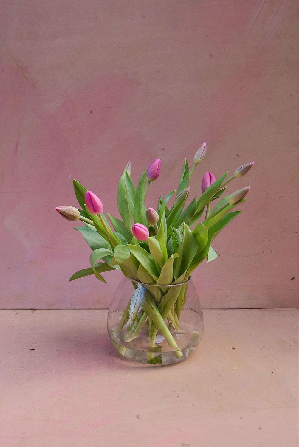 TREAT MUM tulips